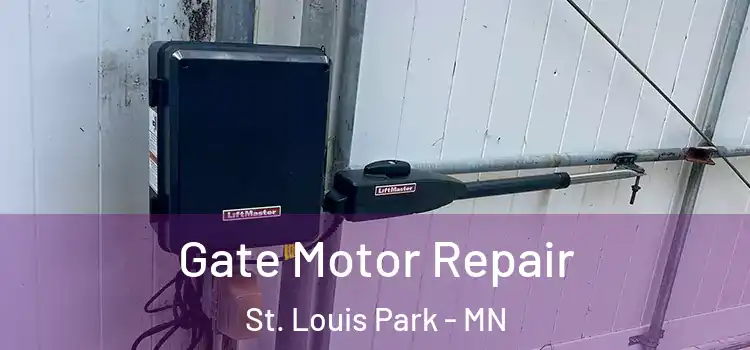 Gate Motor Repair St. Louis Park - MN