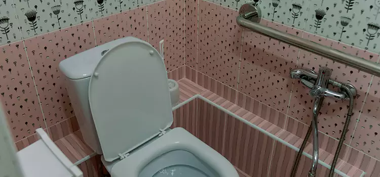 Meeting Diverse Needs With Accessible Restroom Solutions in St. Louis Park, MN