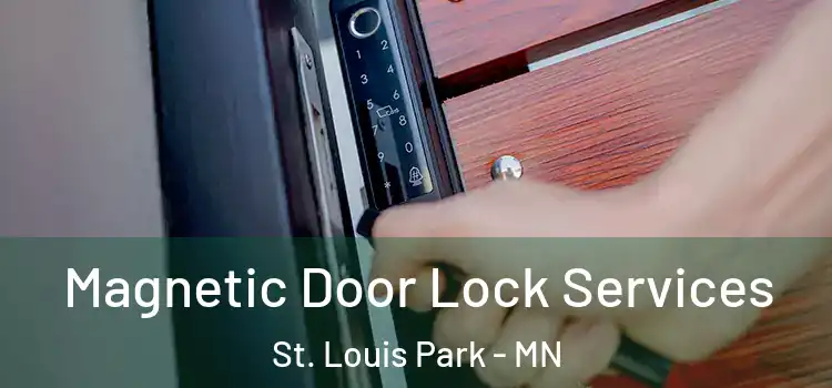 Magnetic Door Lock Services St. Louis Park - MN