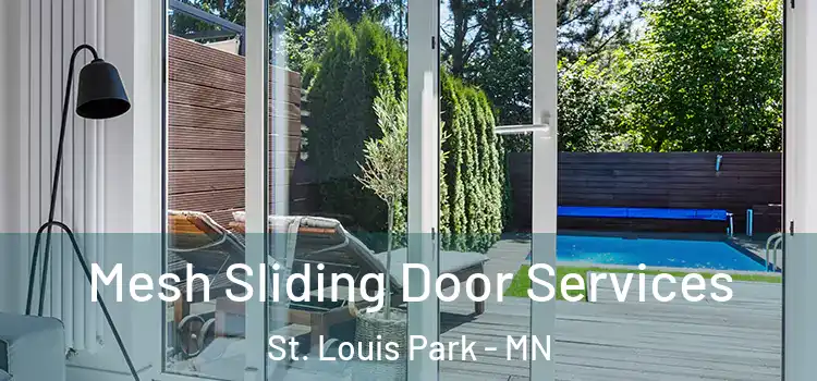  Mesh Sliding Door Services St. Louis Park - MN